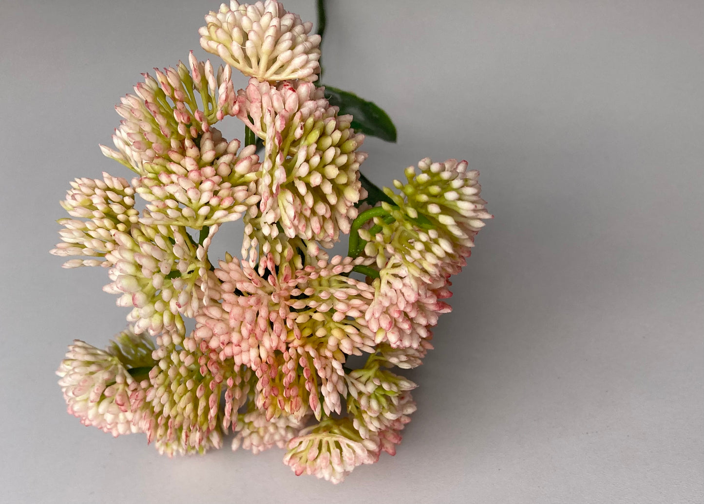 Light Pink Sedum Spray