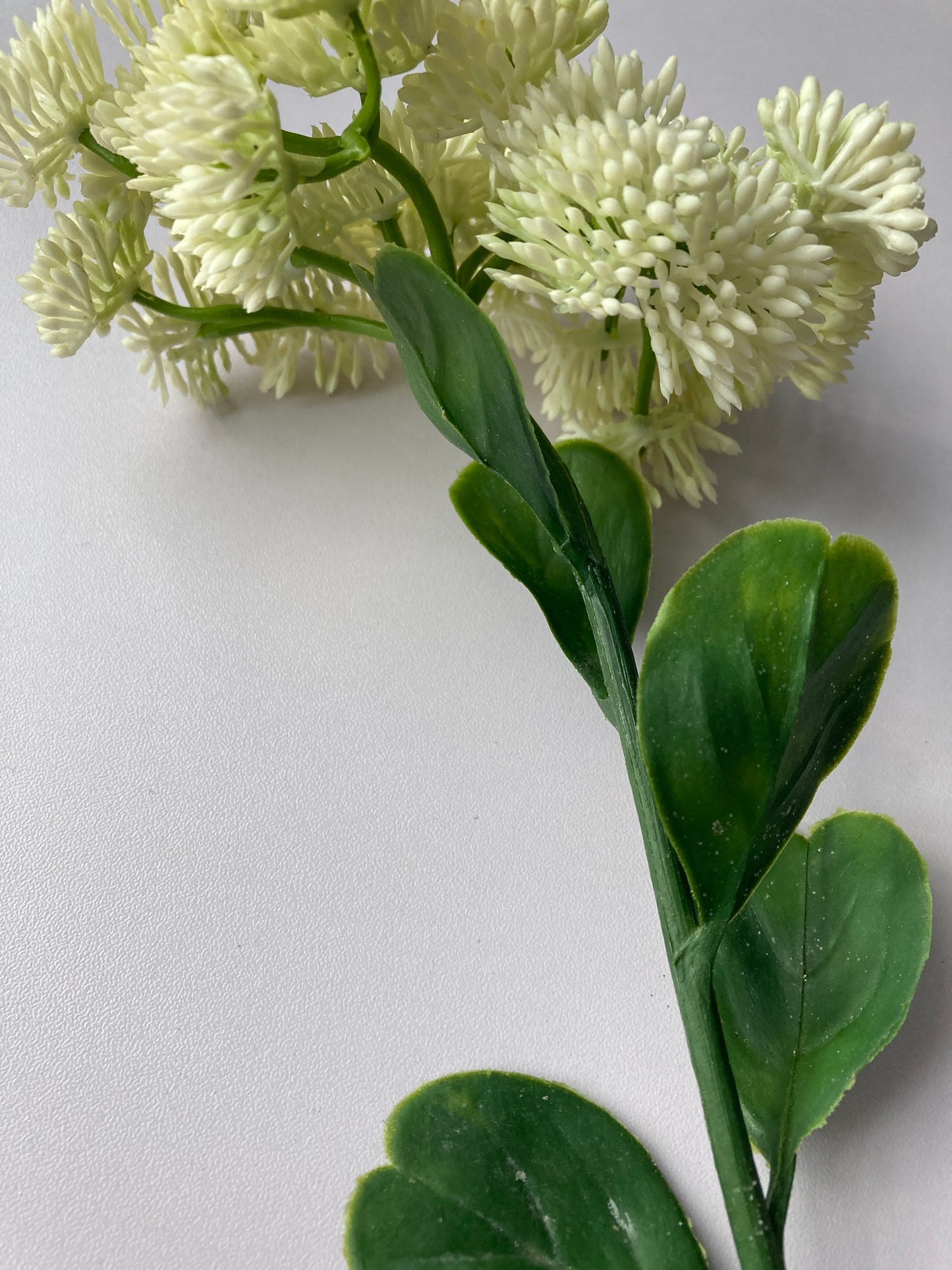 White/Ivory Sedum Spray