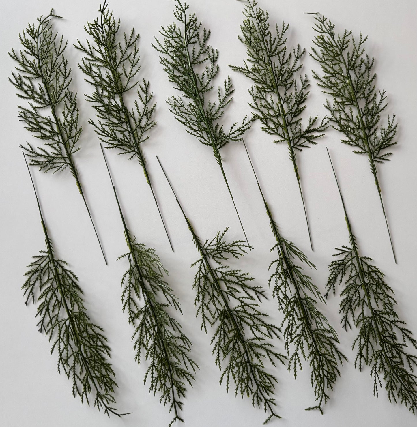 10 Cedar Single Stems