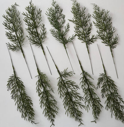10 Cedar Single Stems