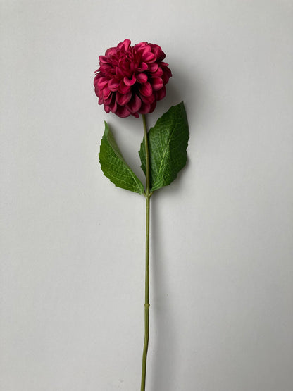 Dark Pink Zinnia Stem