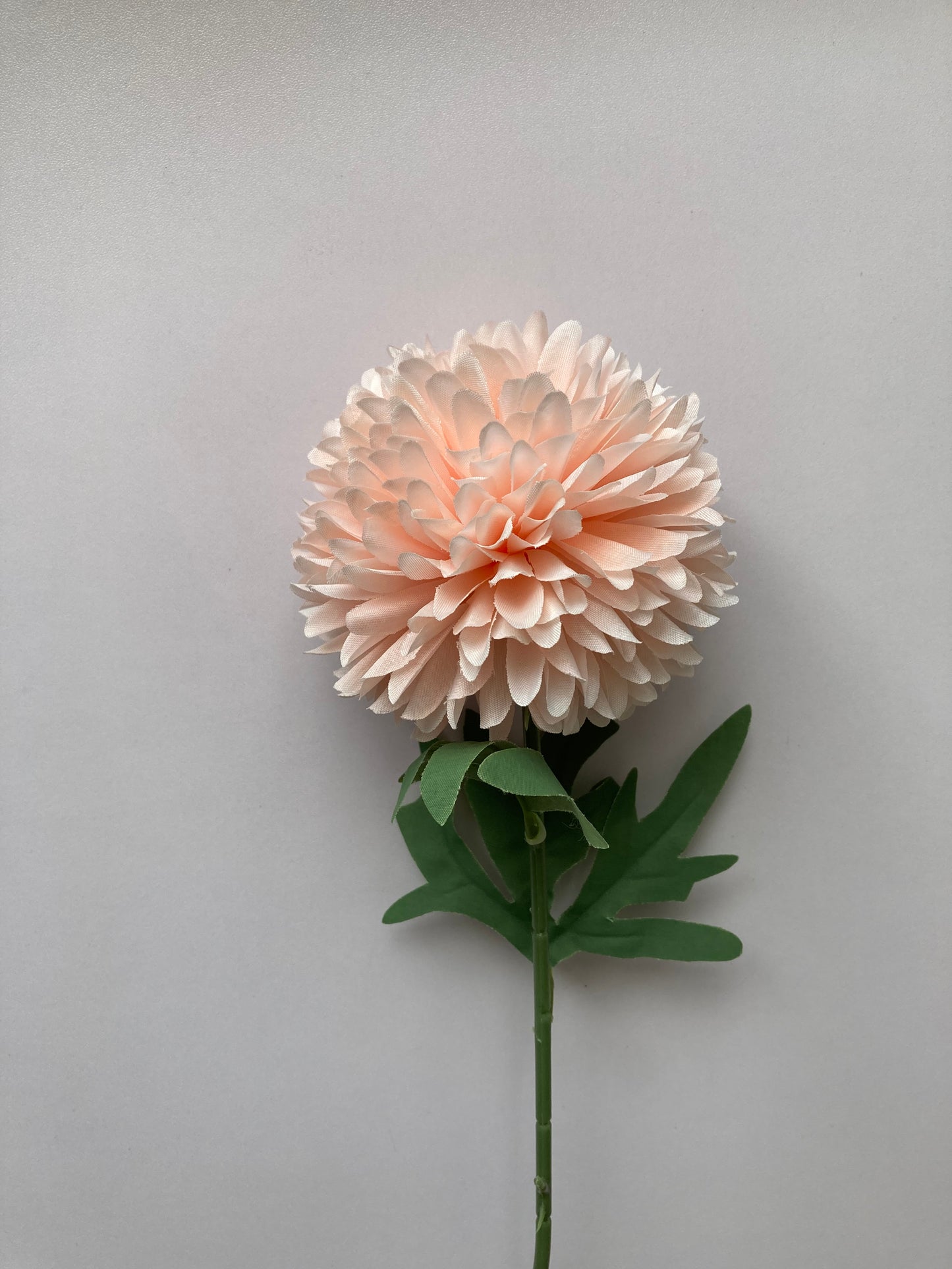 Soft Peach Large Chrysanthemum Pom Pom