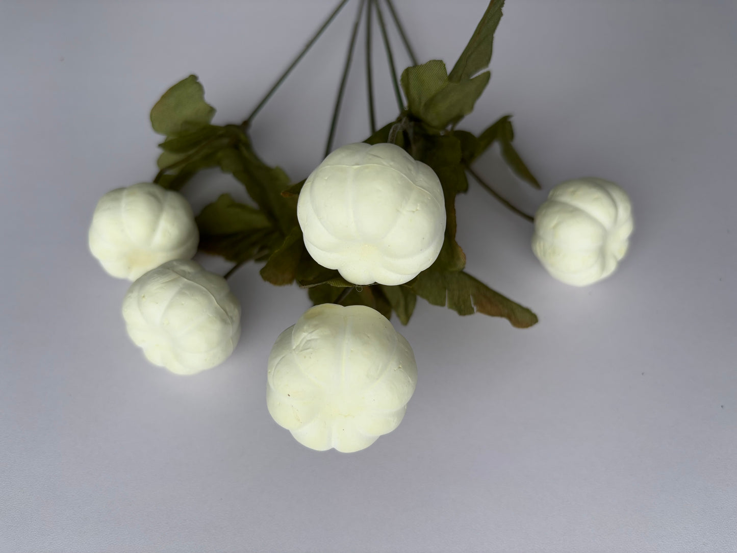 White Pumpkin Bunch