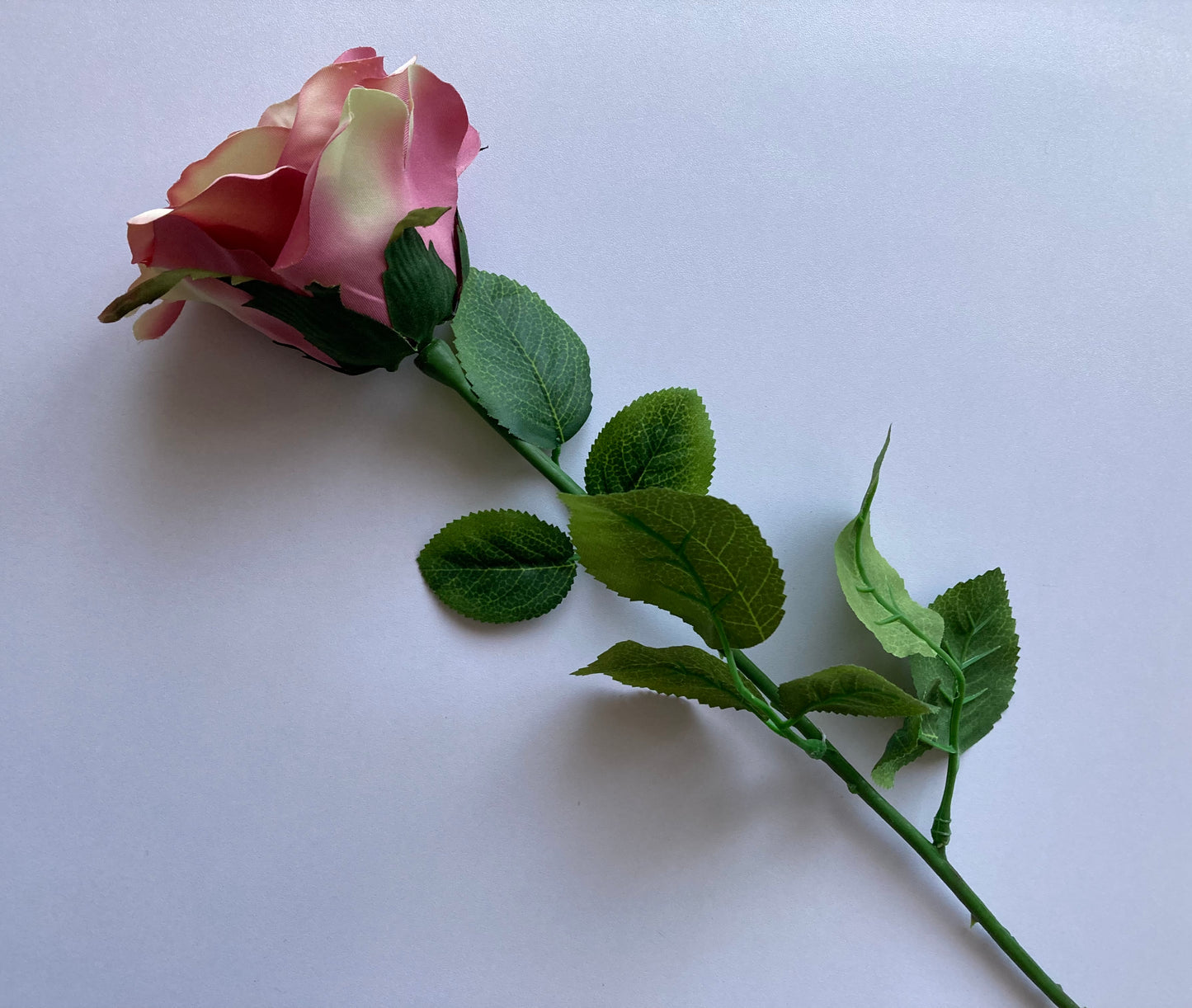 Elegant Open Deluxe Rose
