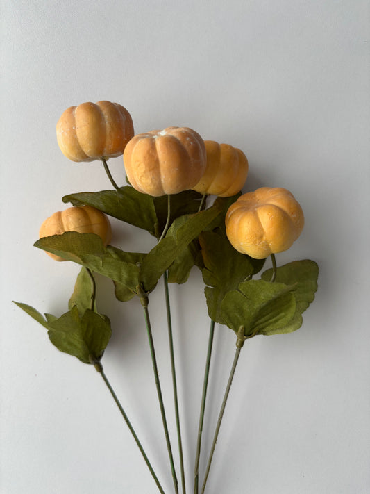 Soft Brown Pumpkin Bunch