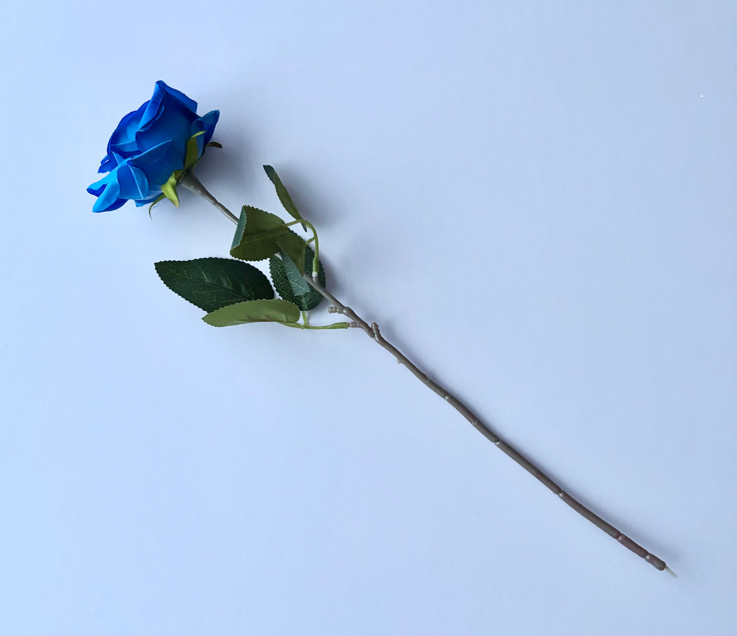 Diamond Blue Rose Stem