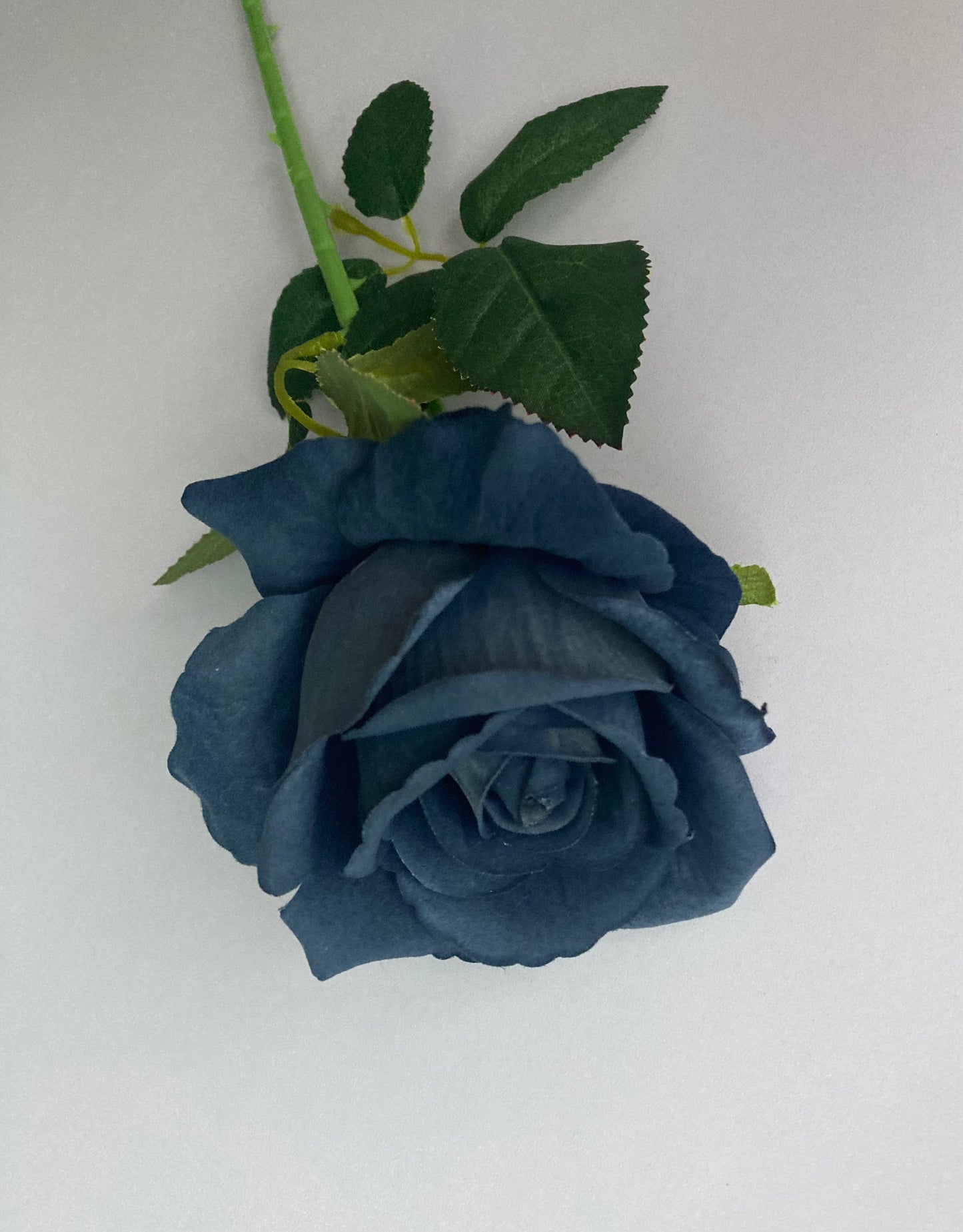 Dark Navy Velvet Rose