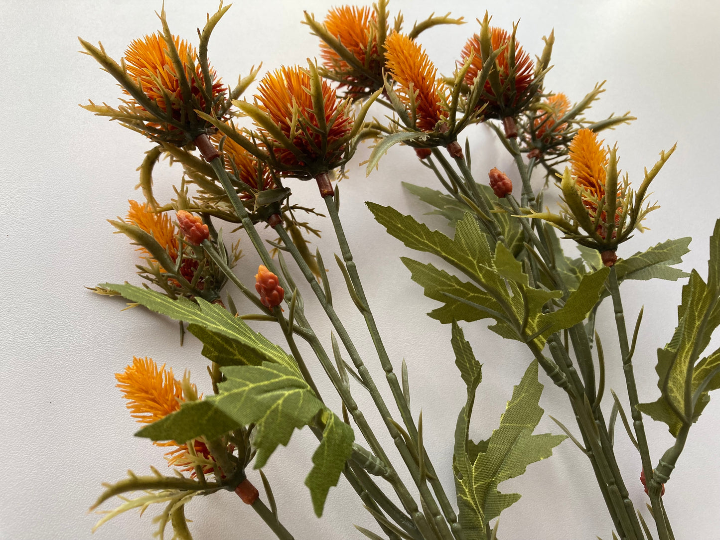 Dry Sea Holly Spray