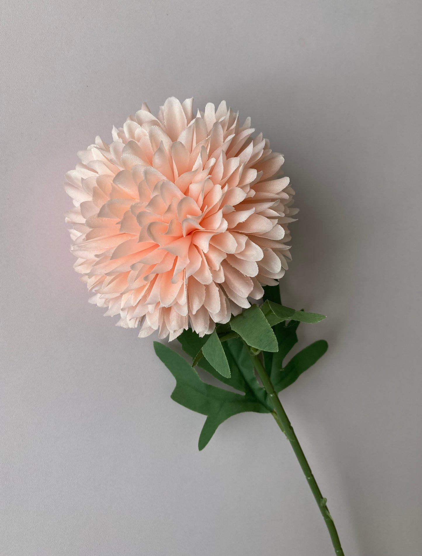 Soft Peach Large Chrysanthemum Pom Pom