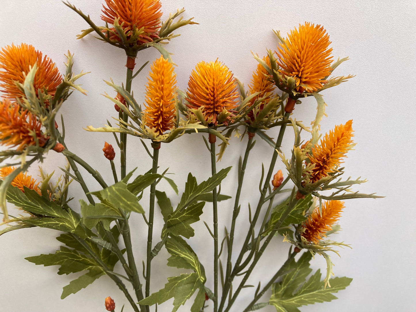 Dry Sea Holly Spray