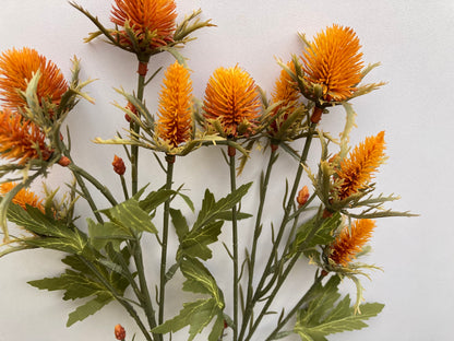 Dry Sea Holly Spray