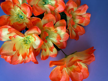 Orange & Yellow Dahlia Bunch