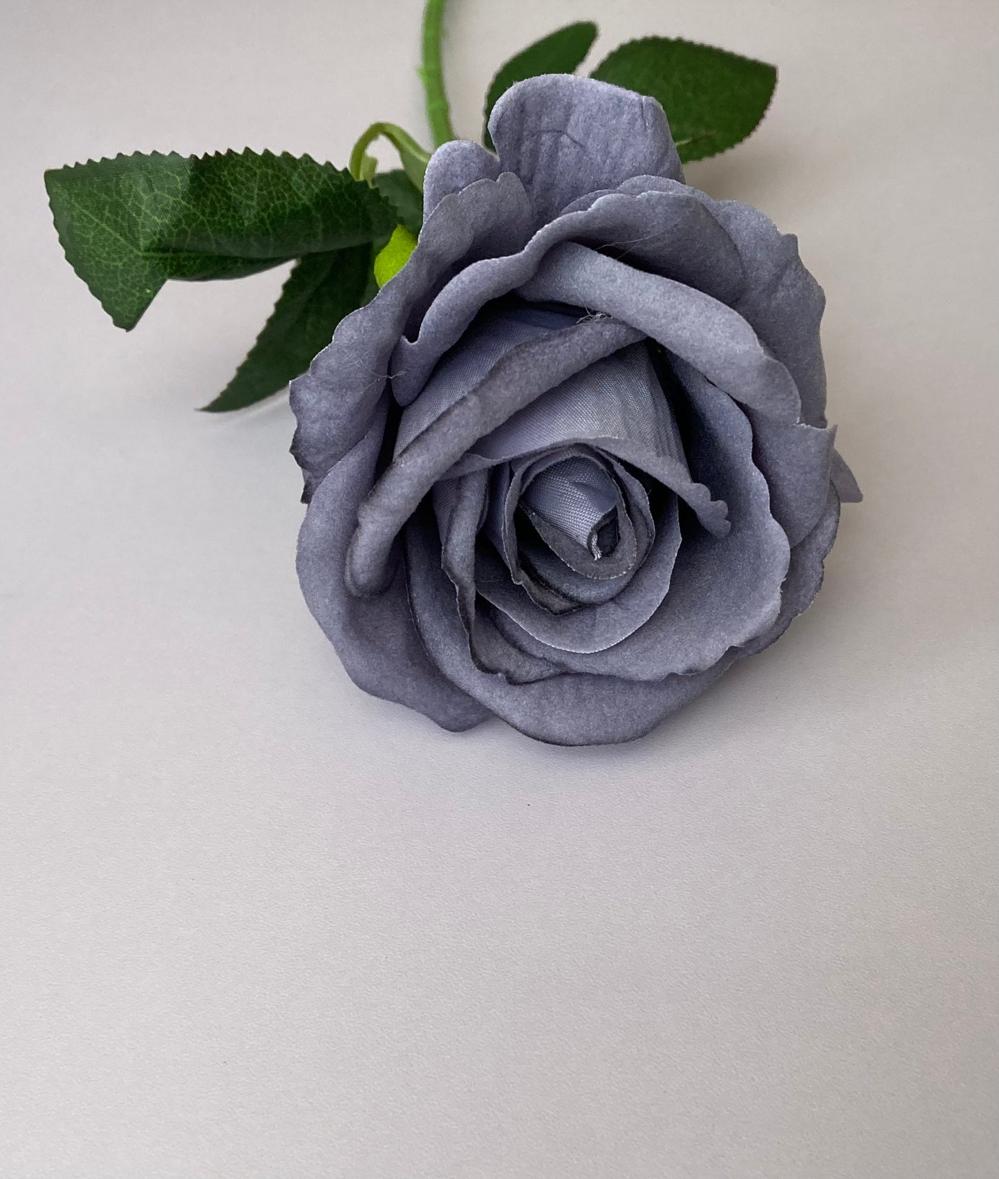 Grey Soft Velvet Touch Rose