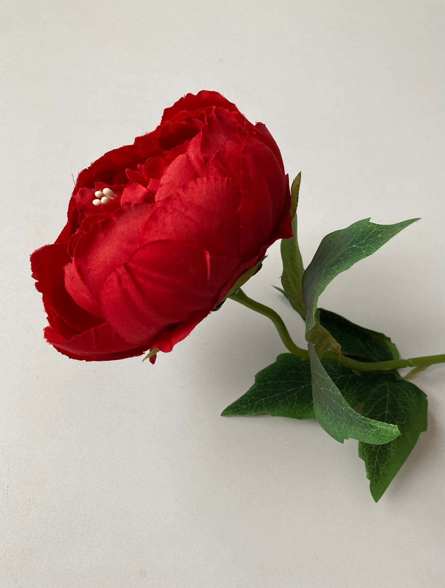 Red Peony Stem