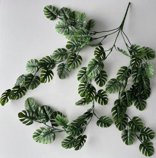 Trailing Monstera Leaf