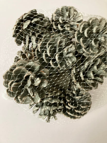 Grey Pinecone Bag