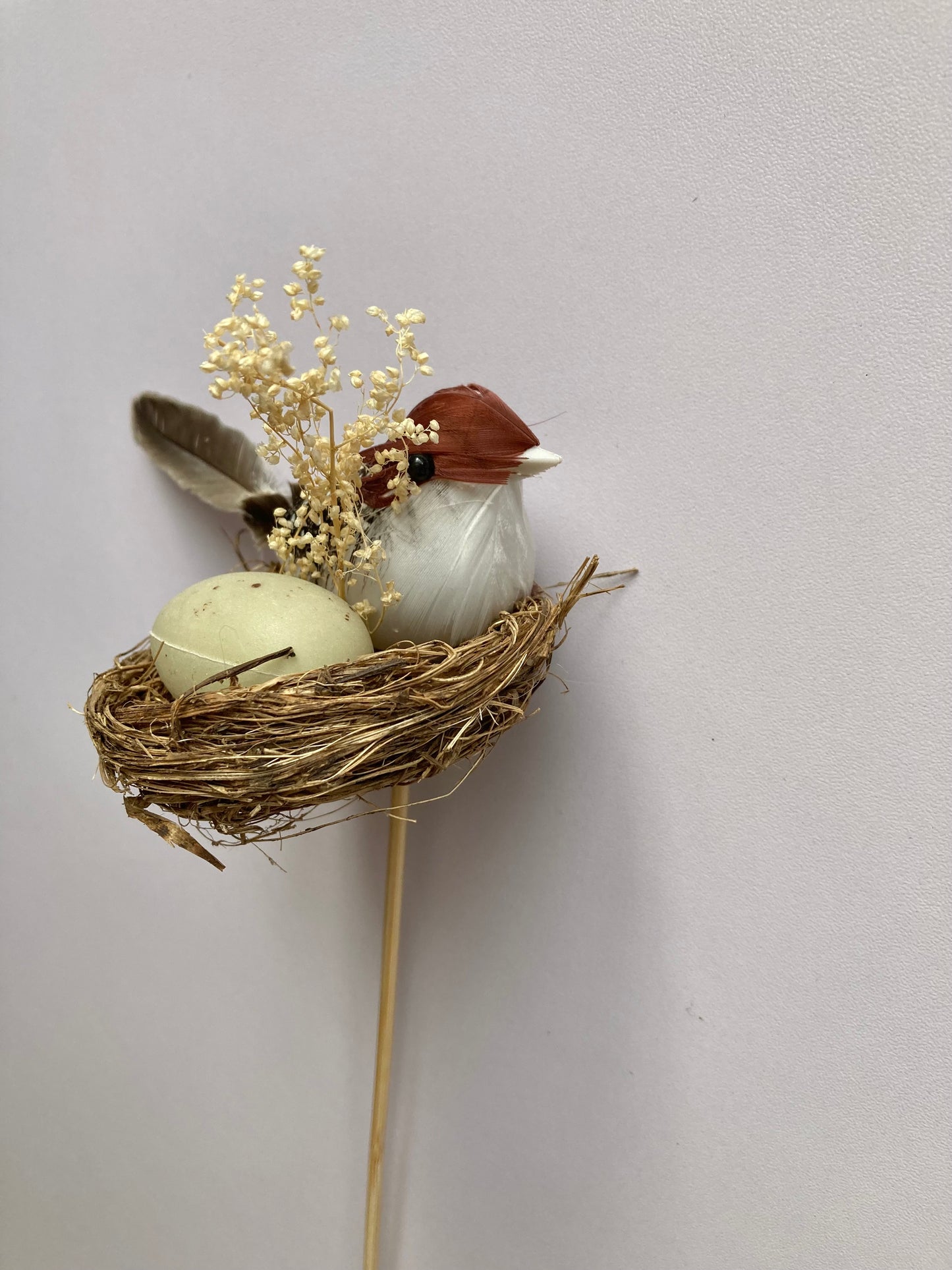 Bird Nest Pick