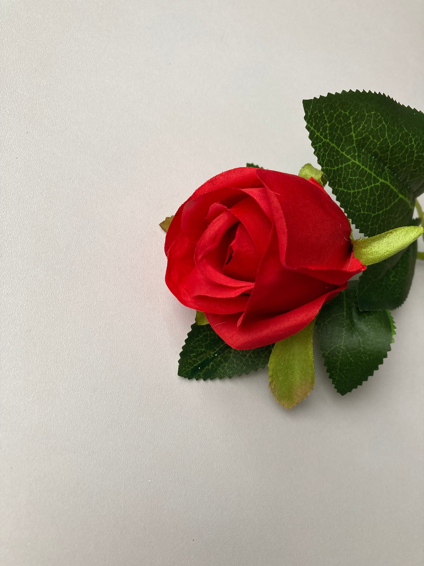 Short Stem Red Rose Bud
