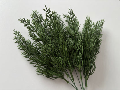 10 Cypress Branch Stems