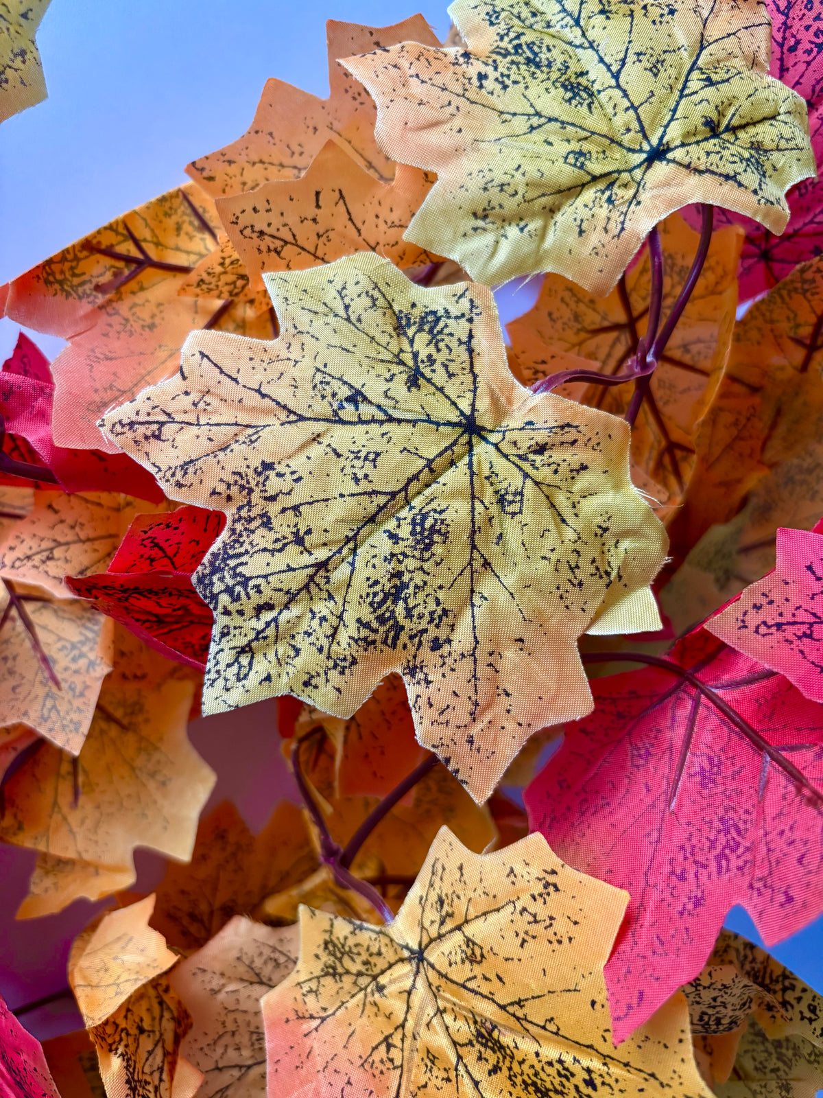 Extreme close up macro shot of multiple overlapping silk maple leaves from an autumn maple leaf garland showing cream, pale green, pink, orange and red colour tones with detailed black leaf vein markings layered together against a bright blue sky background