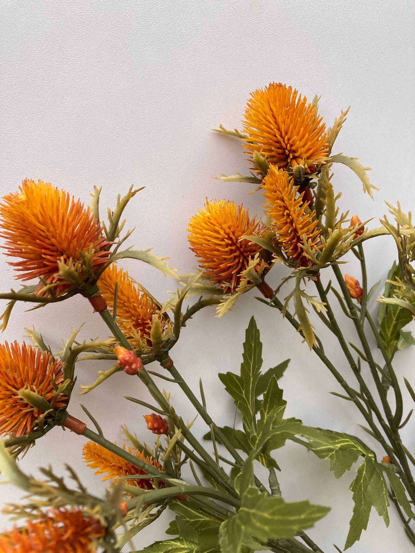 Dry Sea Holly Spray