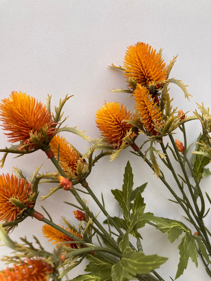 Dry Sea Holly Spray