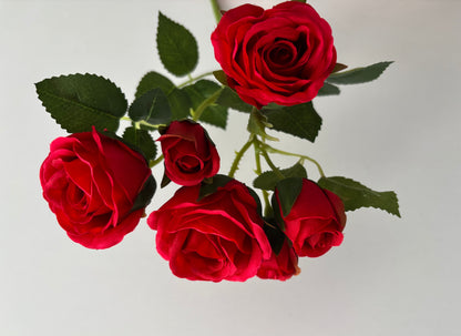 Red Rose Mixed Bud Spray