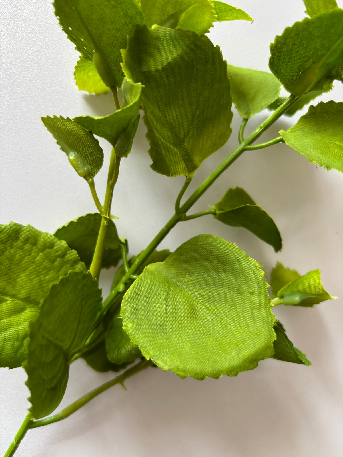 Extreme close up macro shot of an artificial green patchouli leaf foliage spray showing the detailed leaf texture and serrated edges of multiple rounded green fabric silk patchouli leaves in varying sizes with a large lower leaf prominently in the foreground and smaller upper leaves and thin wired stems visible above against a plain white background