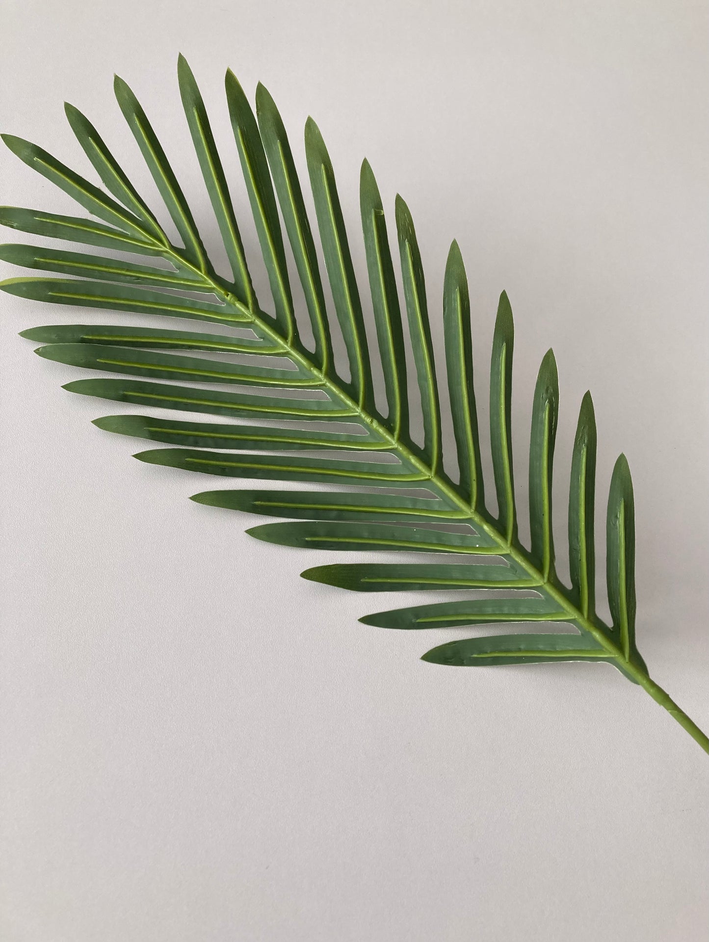 62cm Areca Palm Leaf