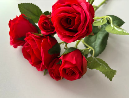 Red Rose Mixed Bud Spray