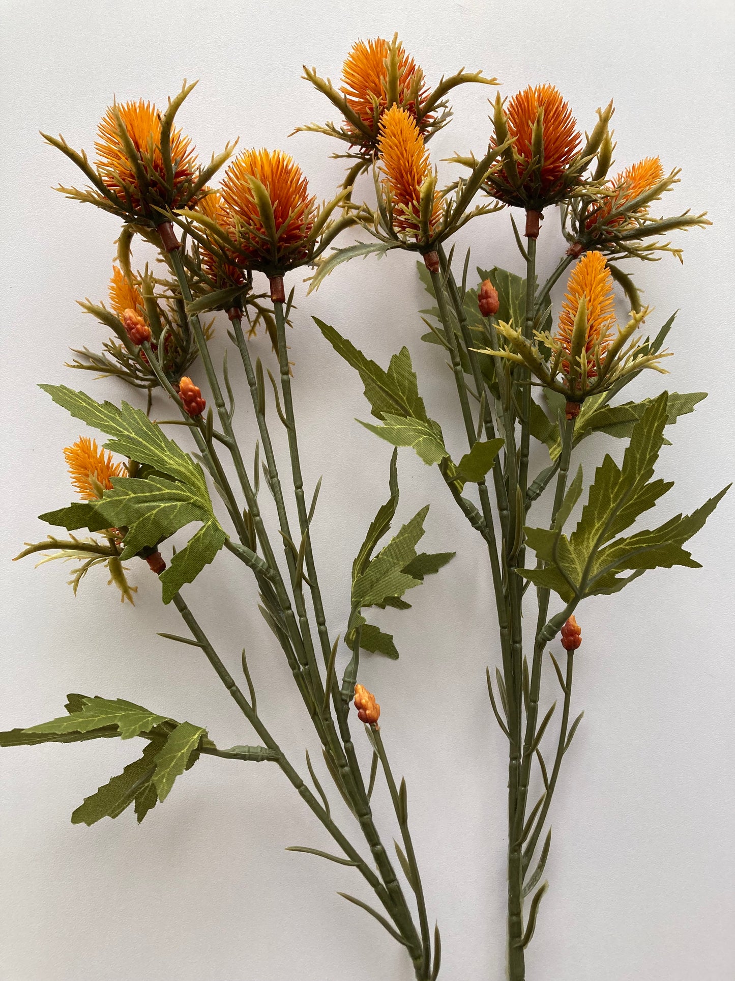 Dry Sea Holly Spray