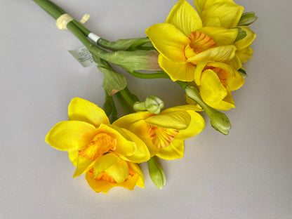 Small Daffodil Bunch