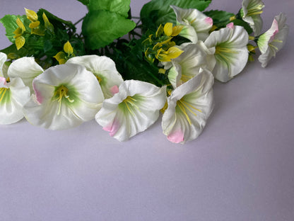 White Morning Glory Bunch