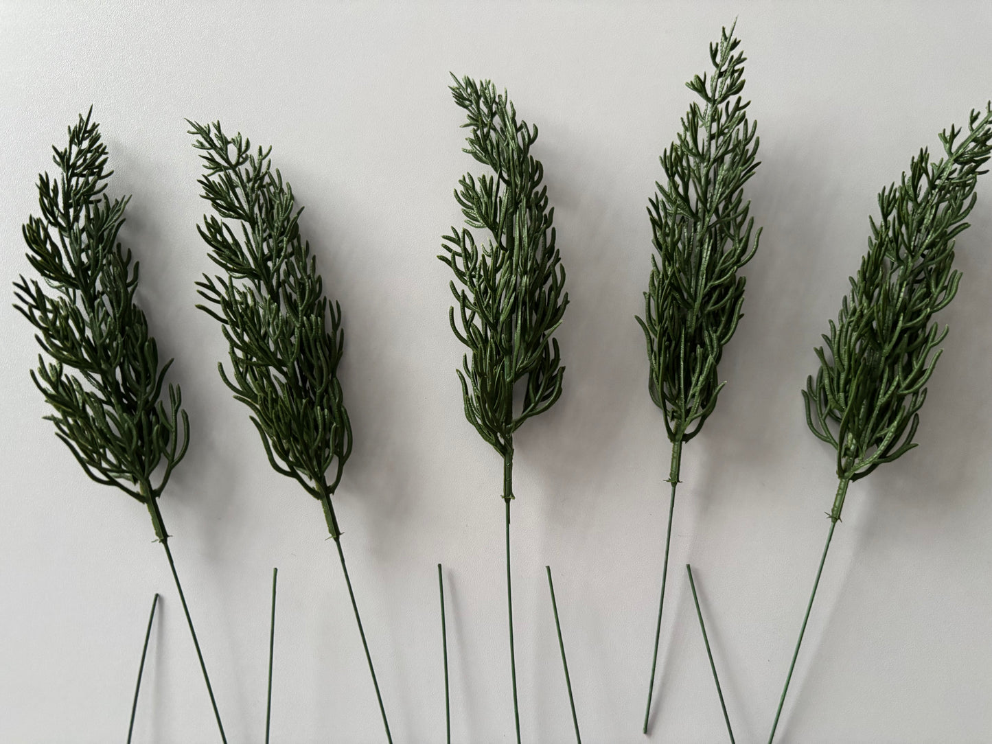 10 Cypress Branch Stems