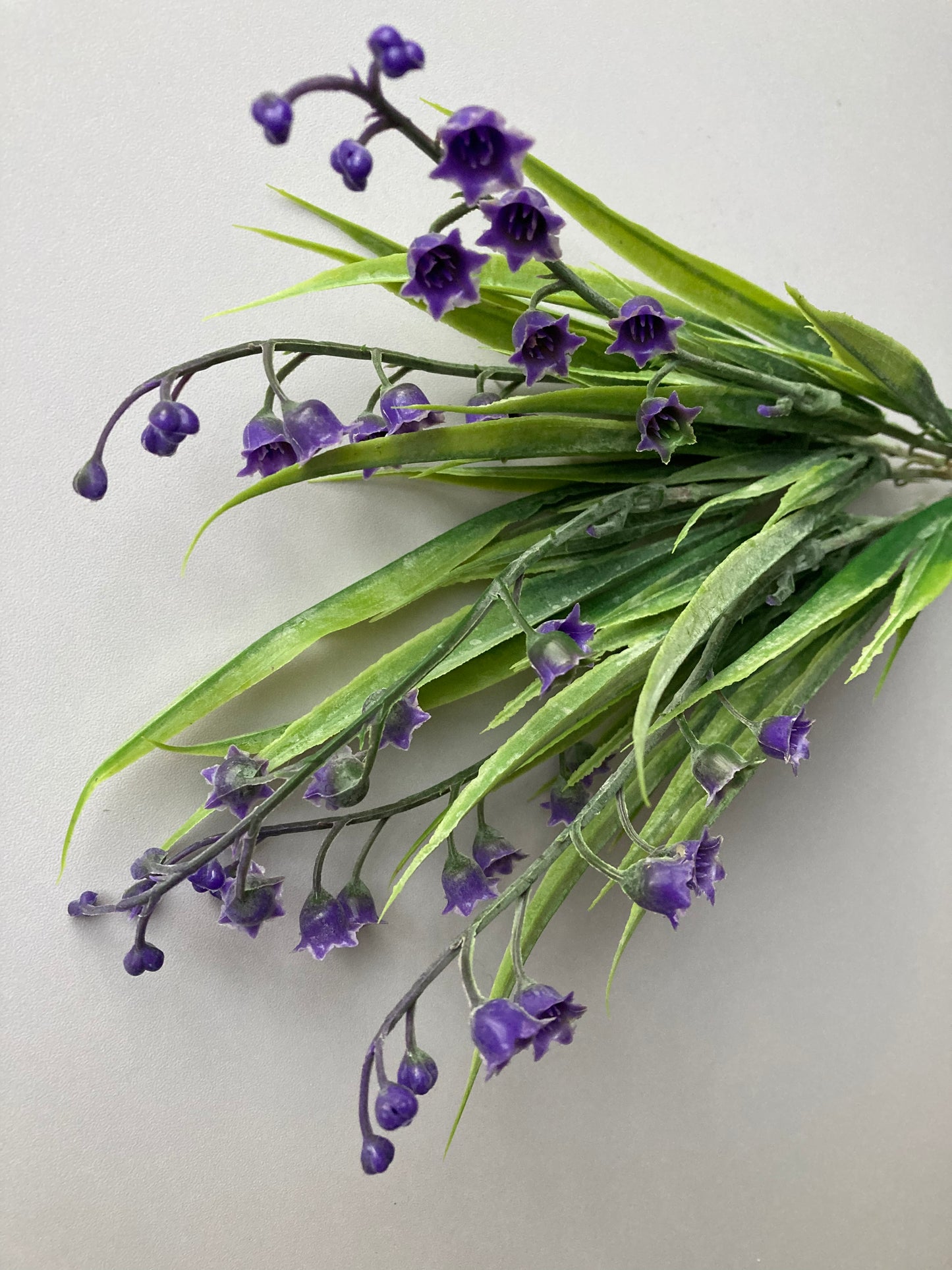 Purple Lily Of The Valley