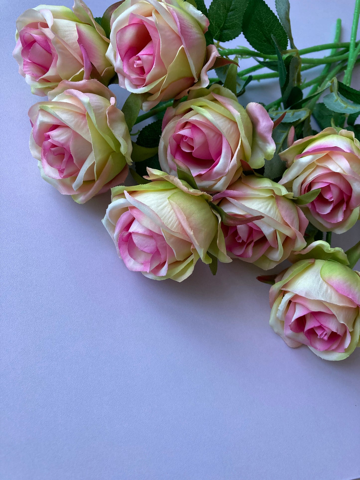 Pink & Green Small Rose