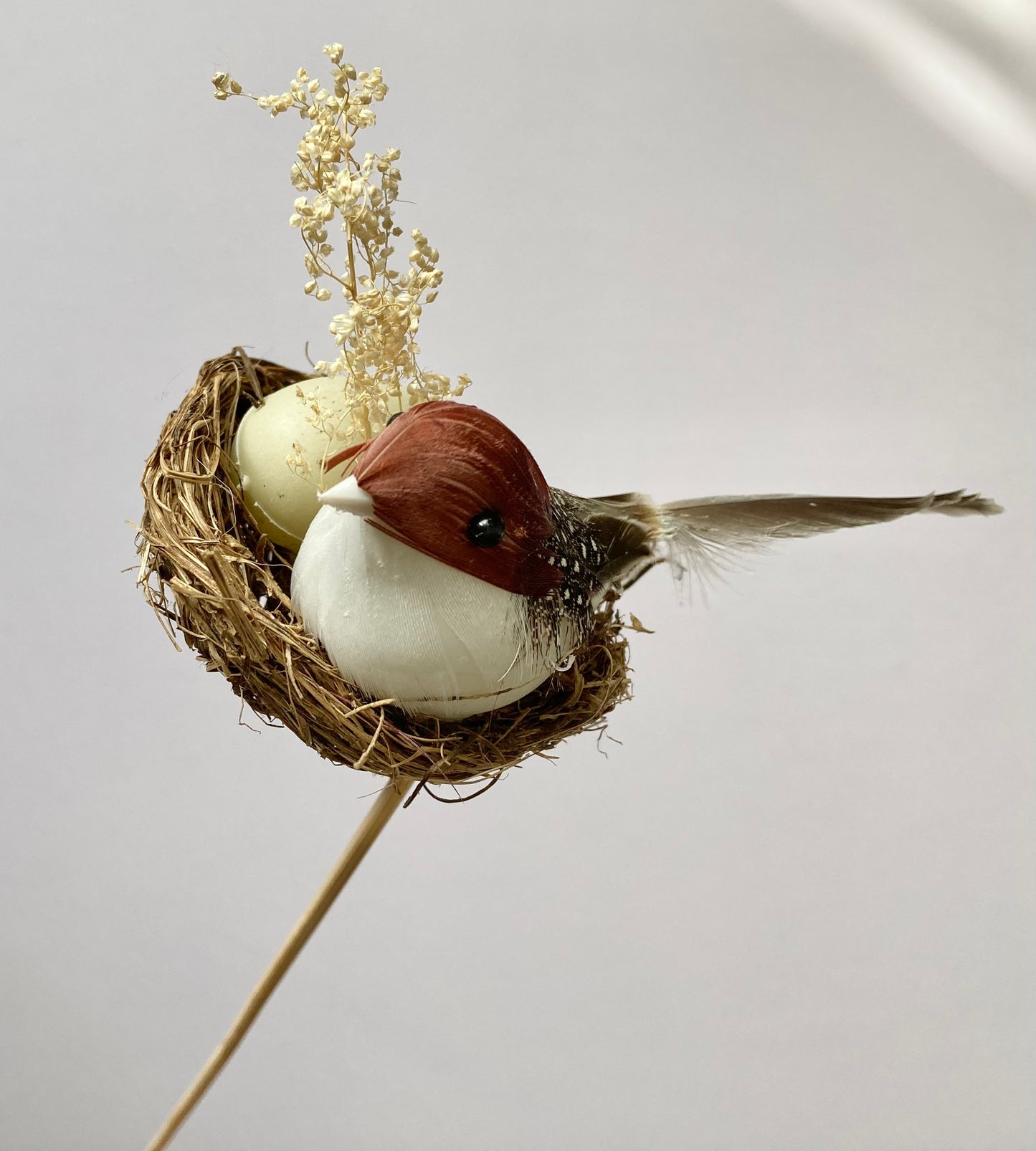 Bird Nest Pick