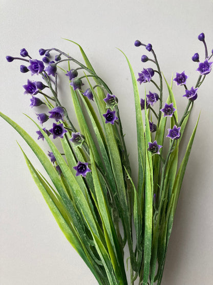 Purple Lily Of The Valley