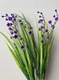 Purple Lily Of The Valley