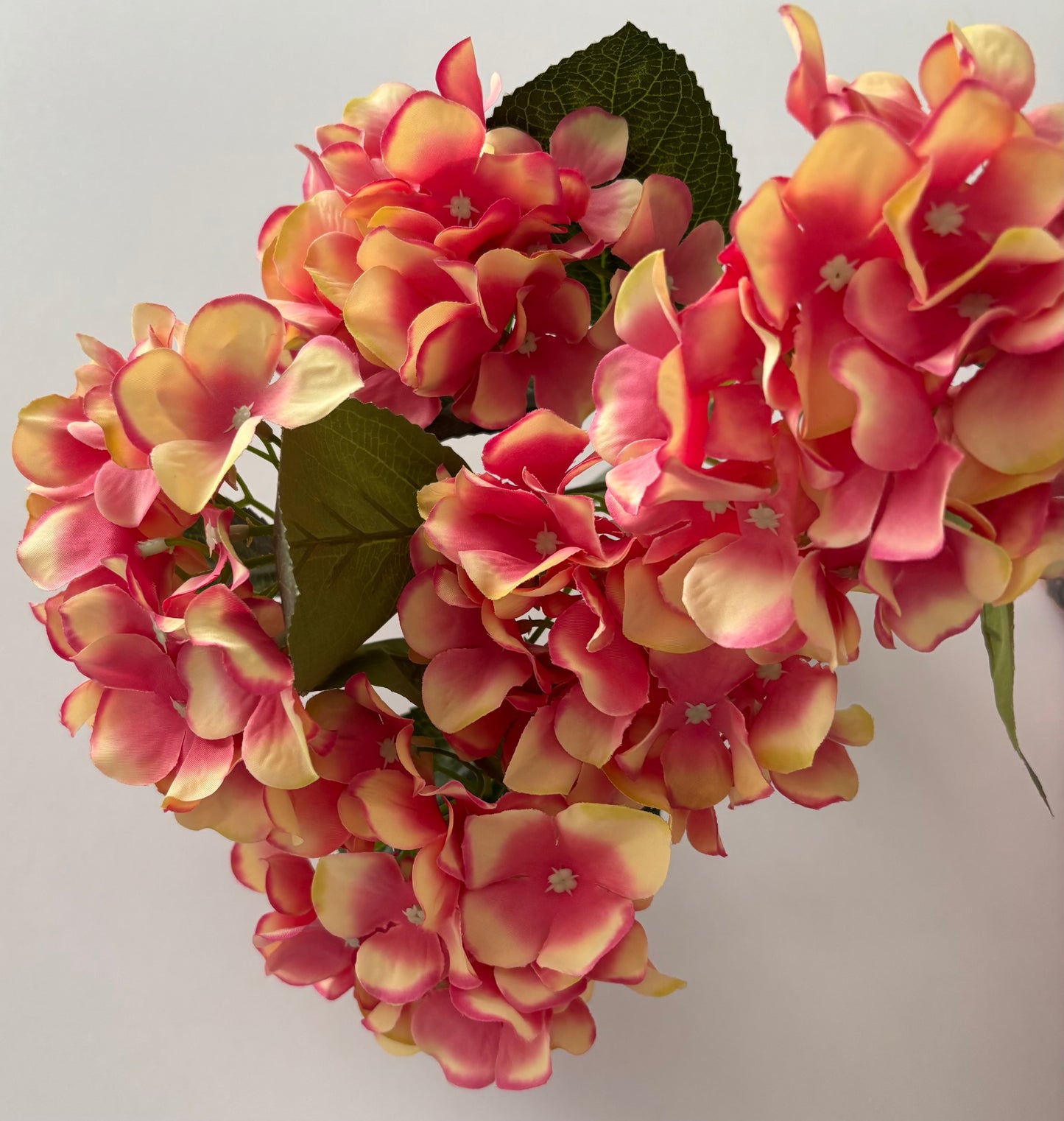 Large Pink/Peach Hydrangea Bunch