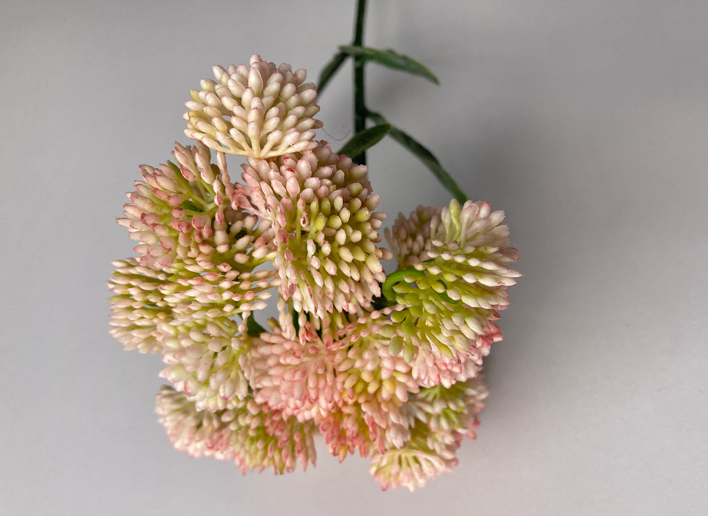 Light Pink Sedum Spray