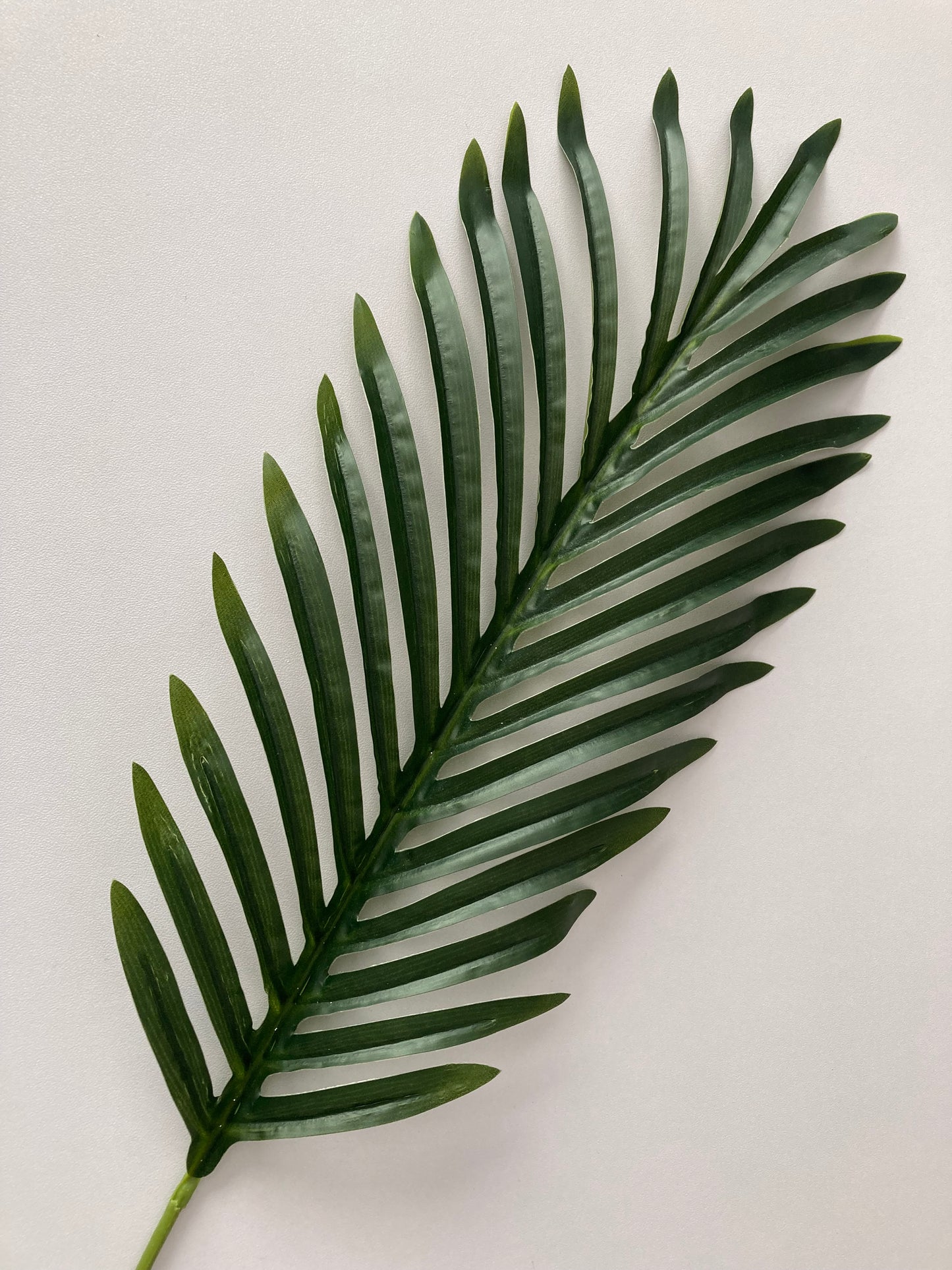 62cm Areca Palm Leaf