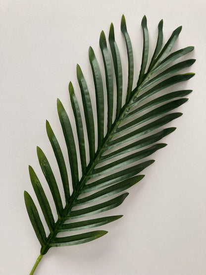 62cm Areca Palm Leaf