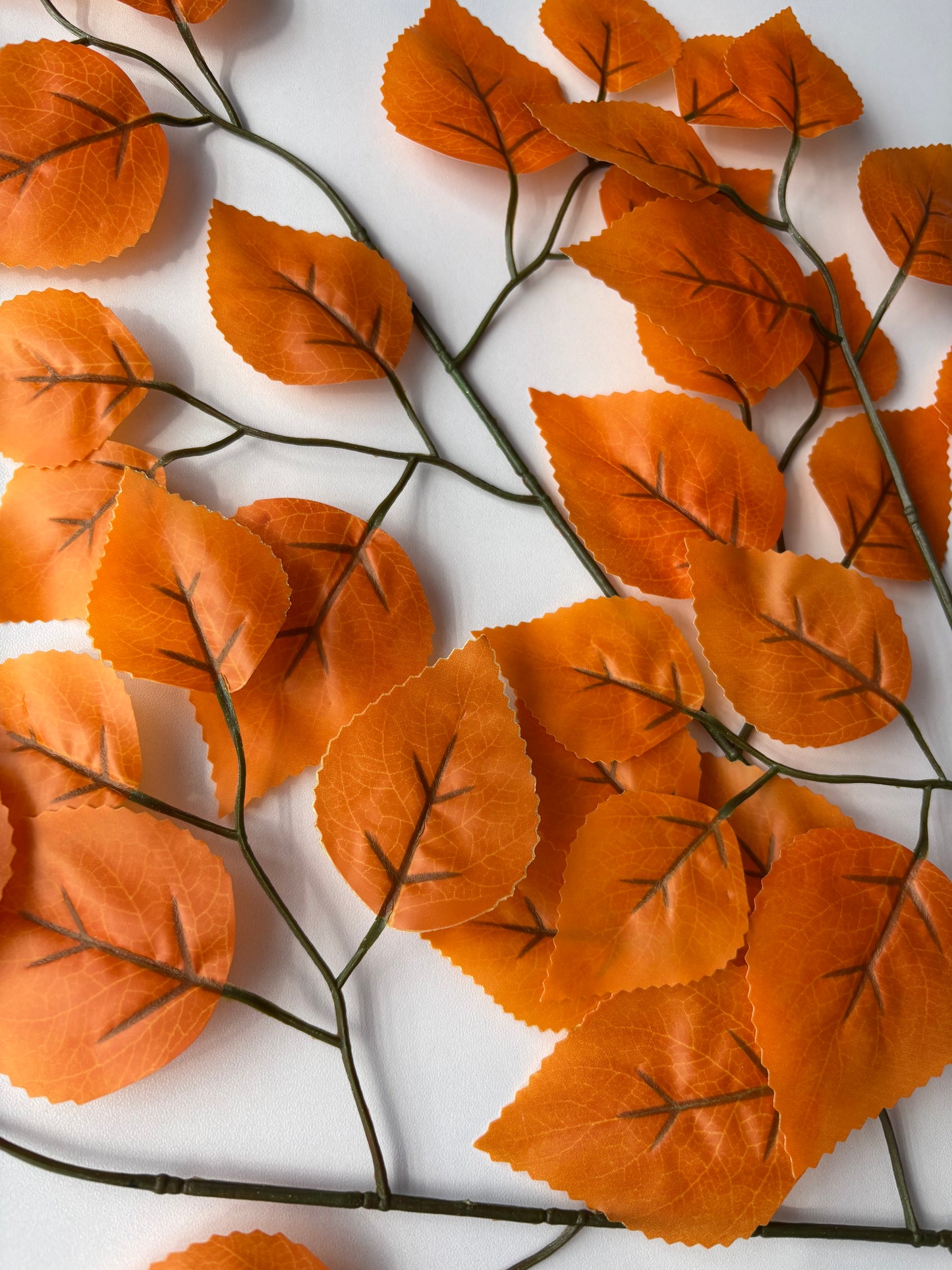 Autumn Ficus Foliage Spray