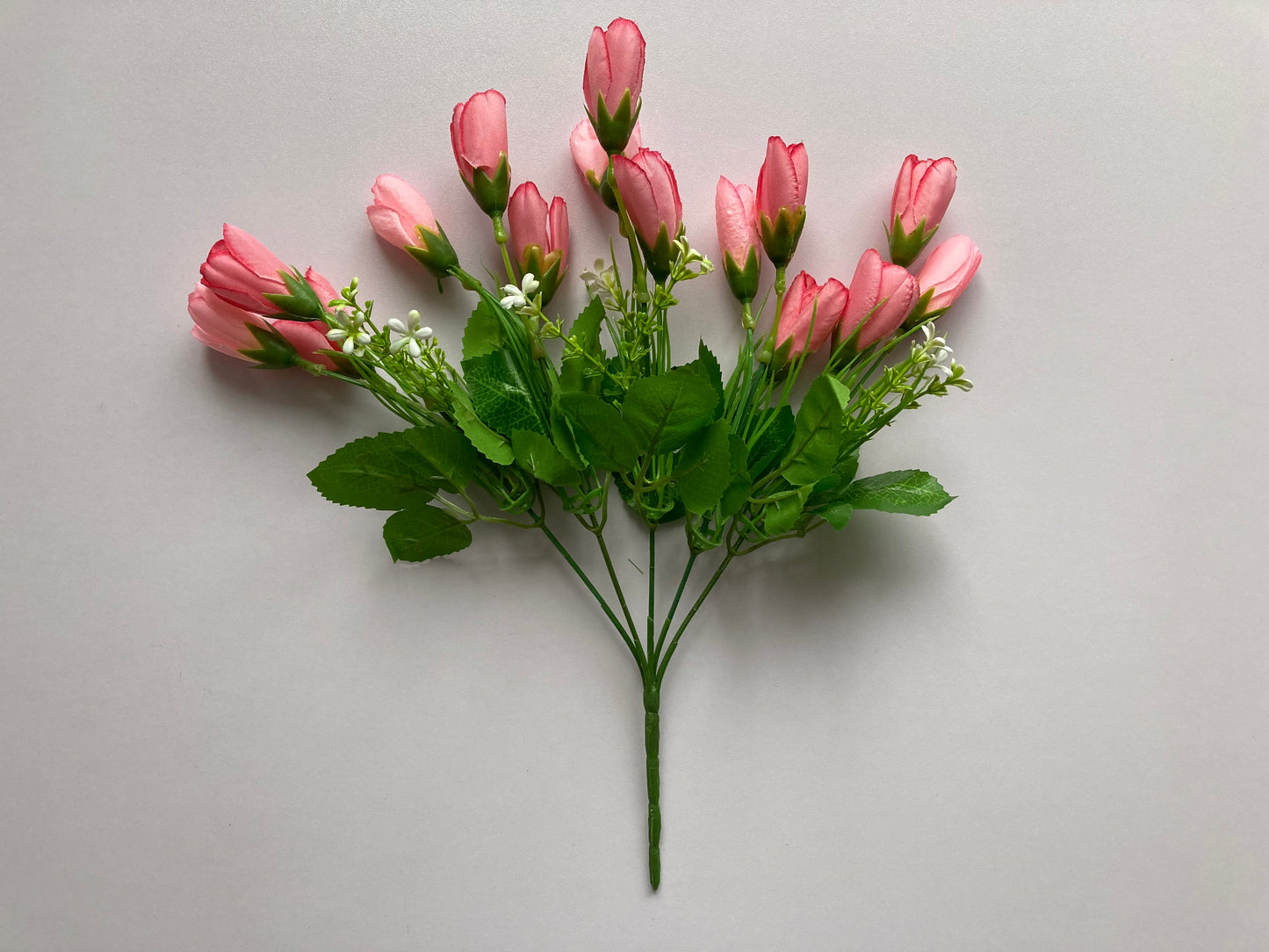 Pink Crocus Bunch