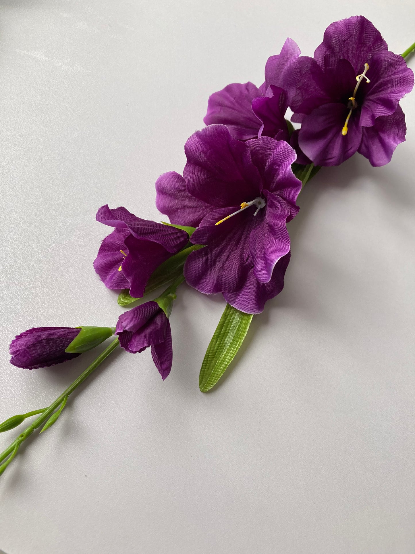 Purple Gladiolus Spray