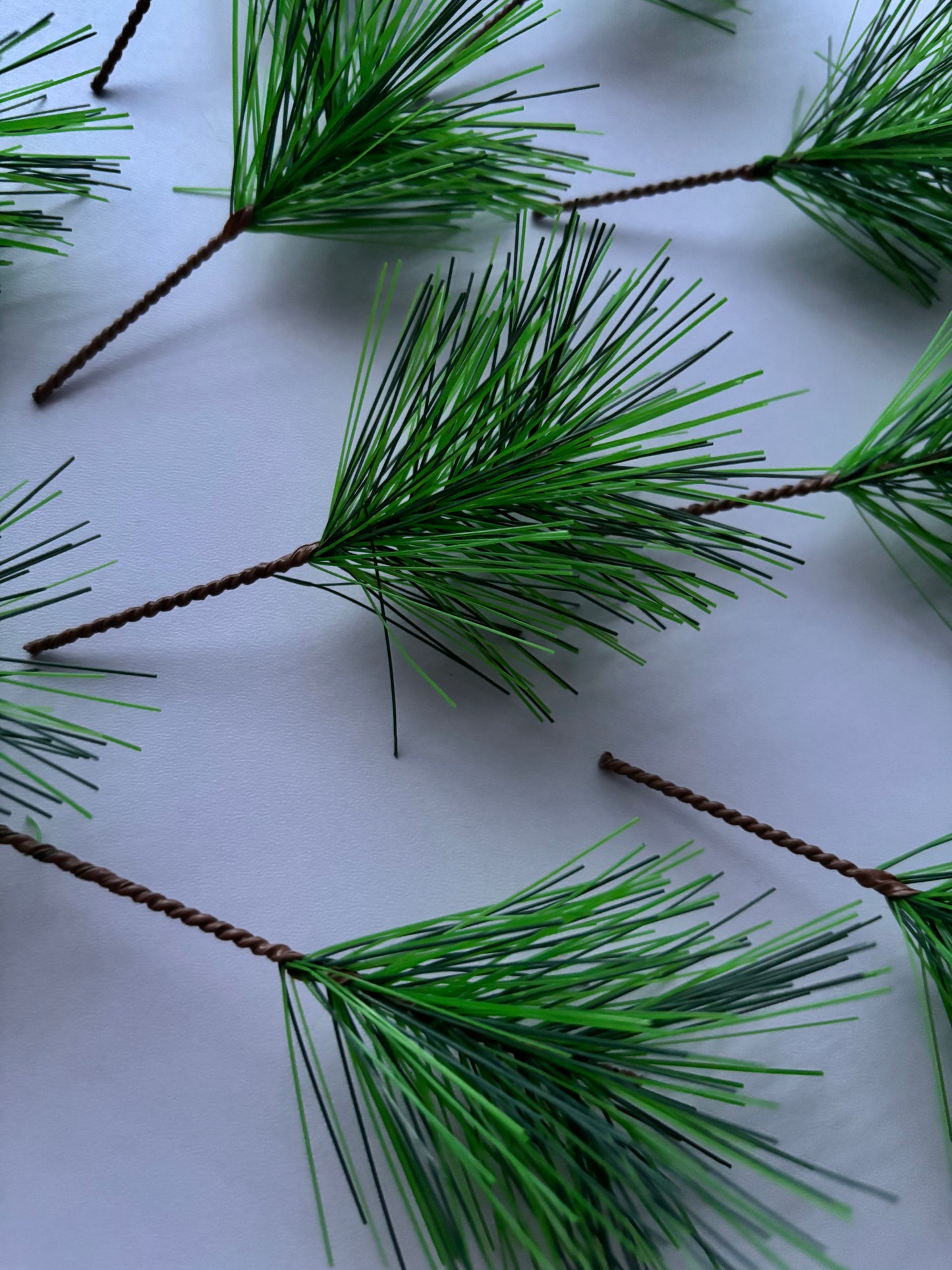 10 Pine Needle Stems