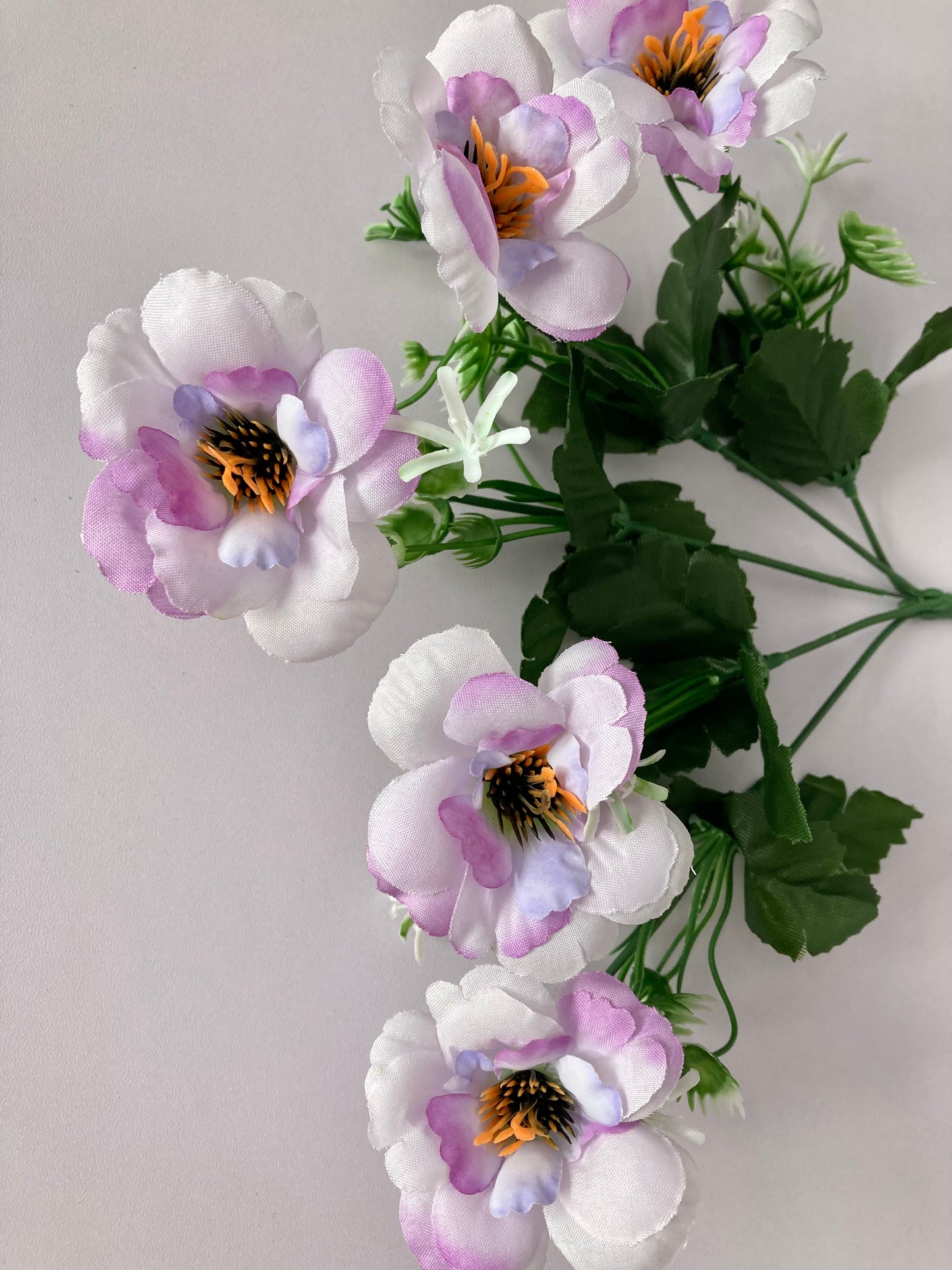 5 Lilac Anemone Bunch