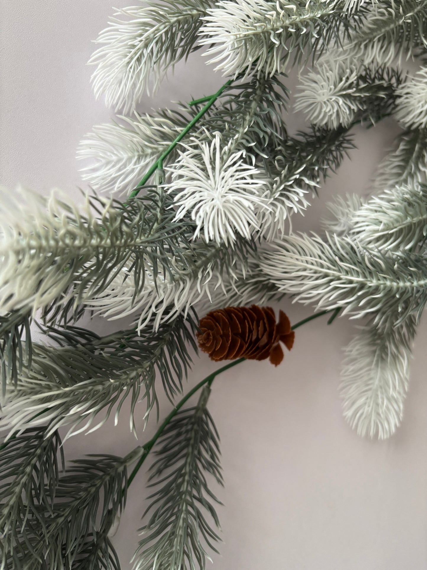 Snowy Tipped Spruce Trailing