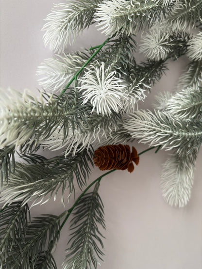 Snowy Tipped Spruce Trailing